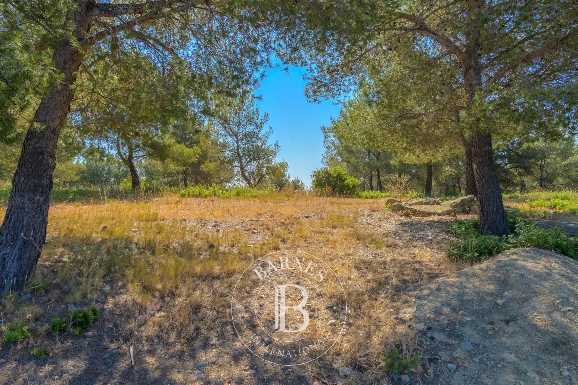 Villa Bandol - picture 38