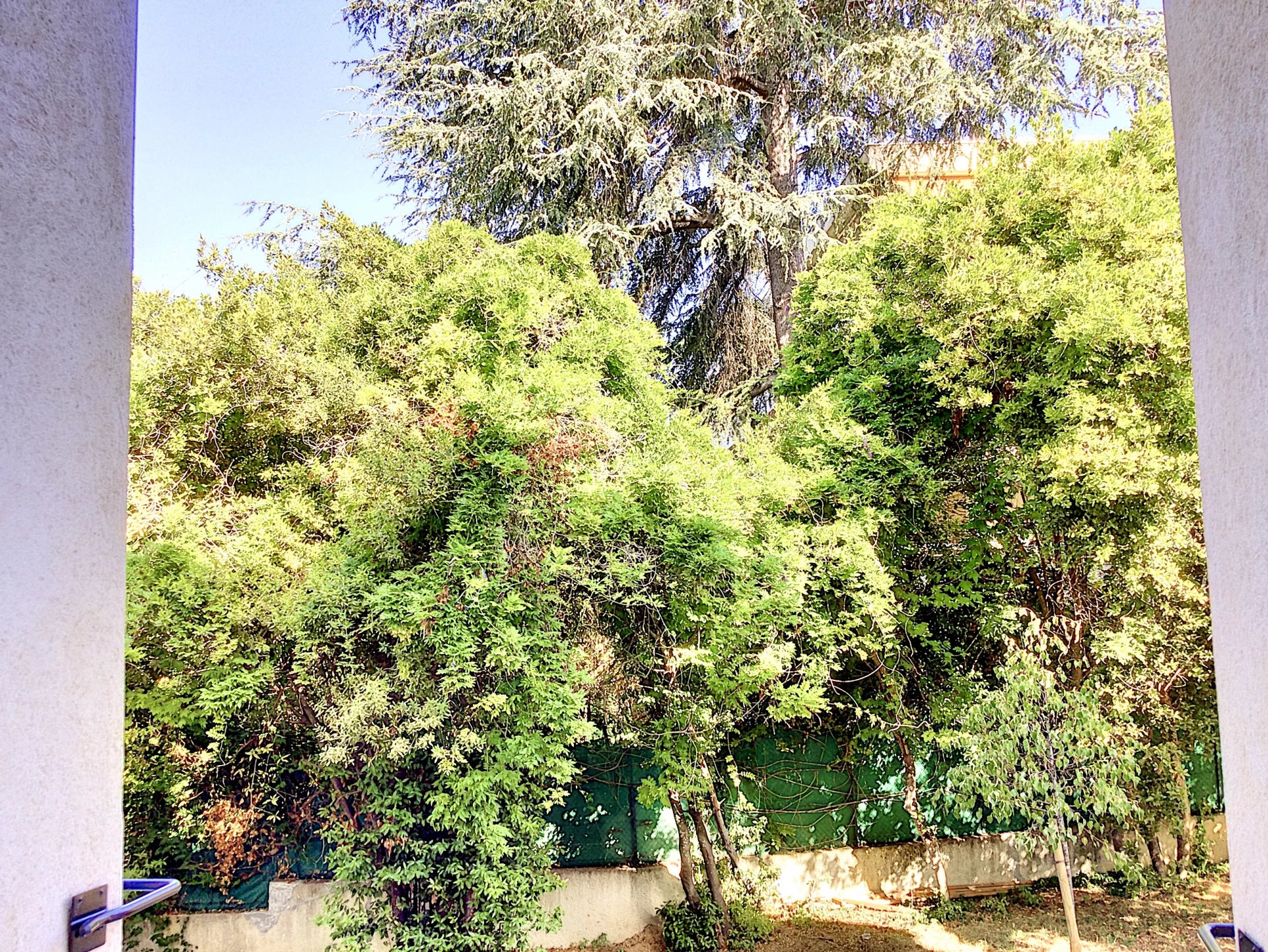 Rental Apartment Cannes