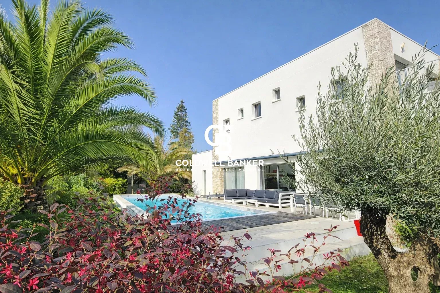 Agence immobilière de Bordeaux Premium