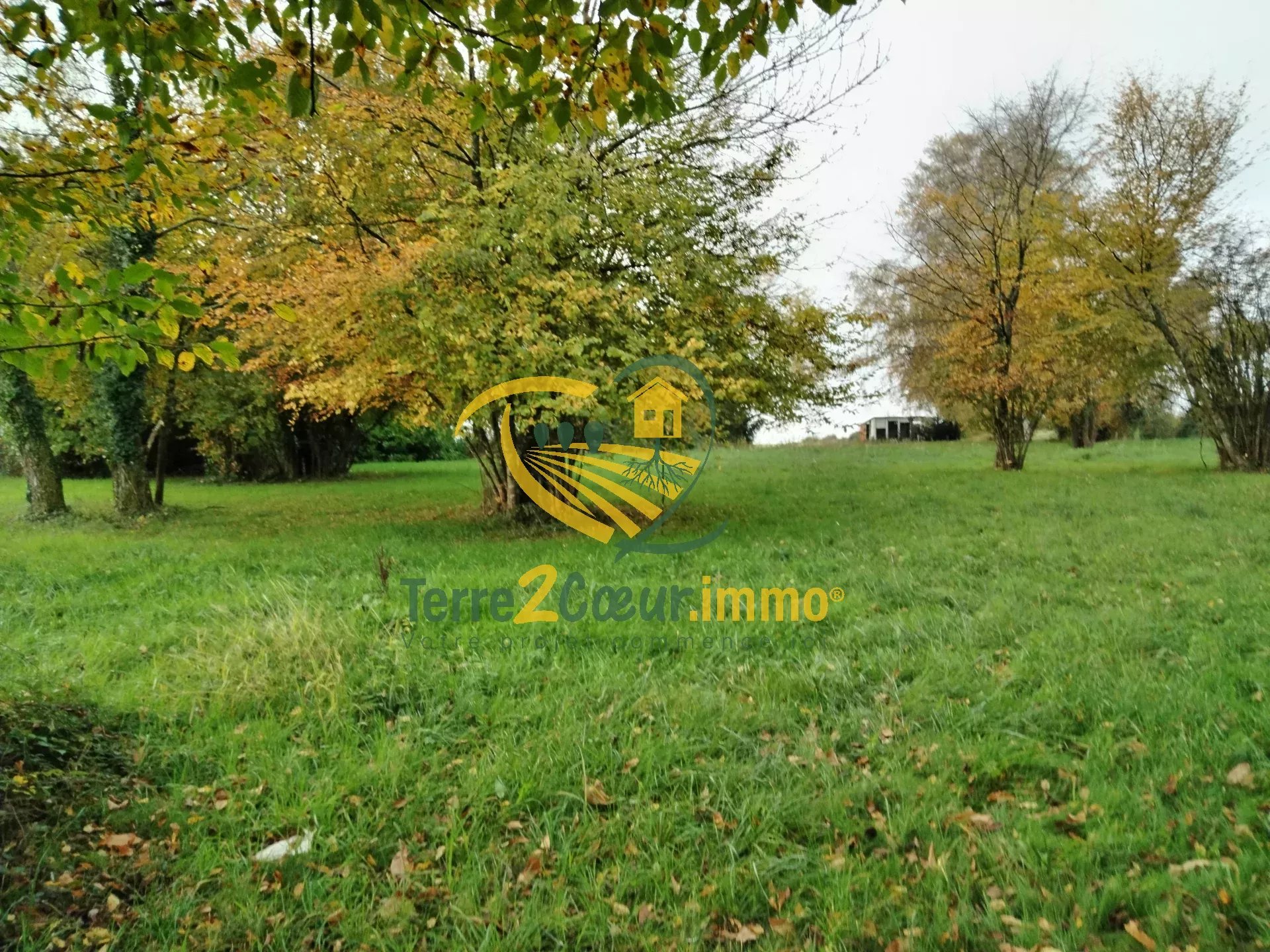 Terrain 4400m² Saint-Martin d'Auxigny (18110)