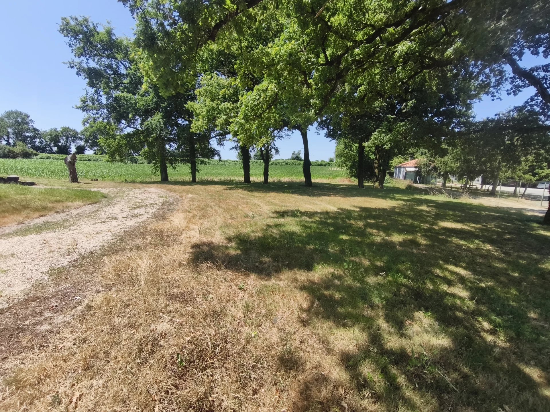 House in Nesmy - Image 2