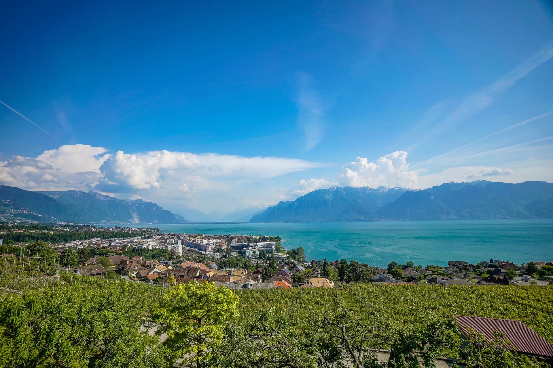 Sumptuous villa in the heart of the vineyards with spectacular views