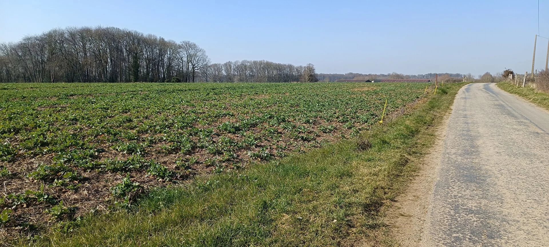 Vente Terrain Méru