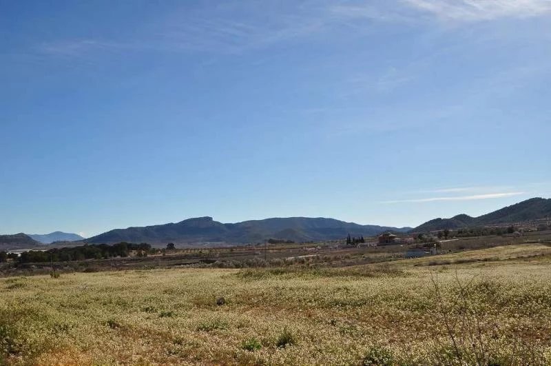Vente Terrain Chinorlet