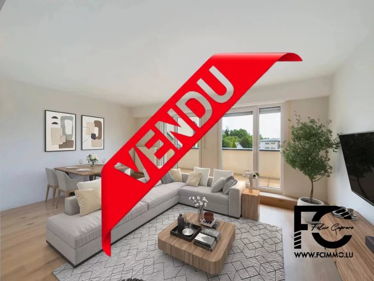 Vente Penthouse Steinfort