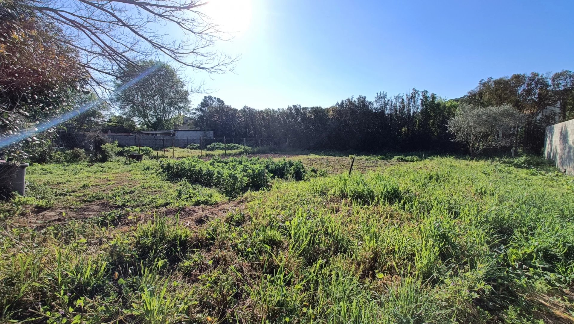 TERRAIN VIABILISÉ - 628M2 - LIGNAN SUR ORB