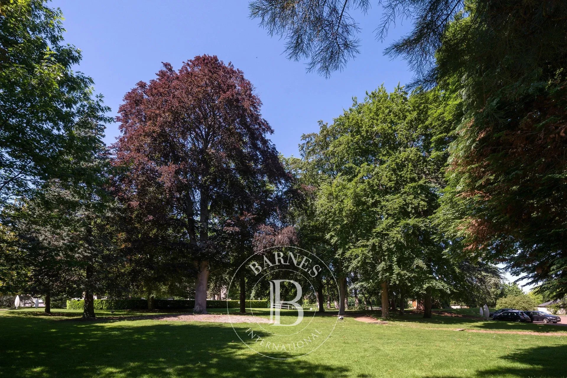 Daire Saint-Didier-au-Mont-d'Or - picture 15