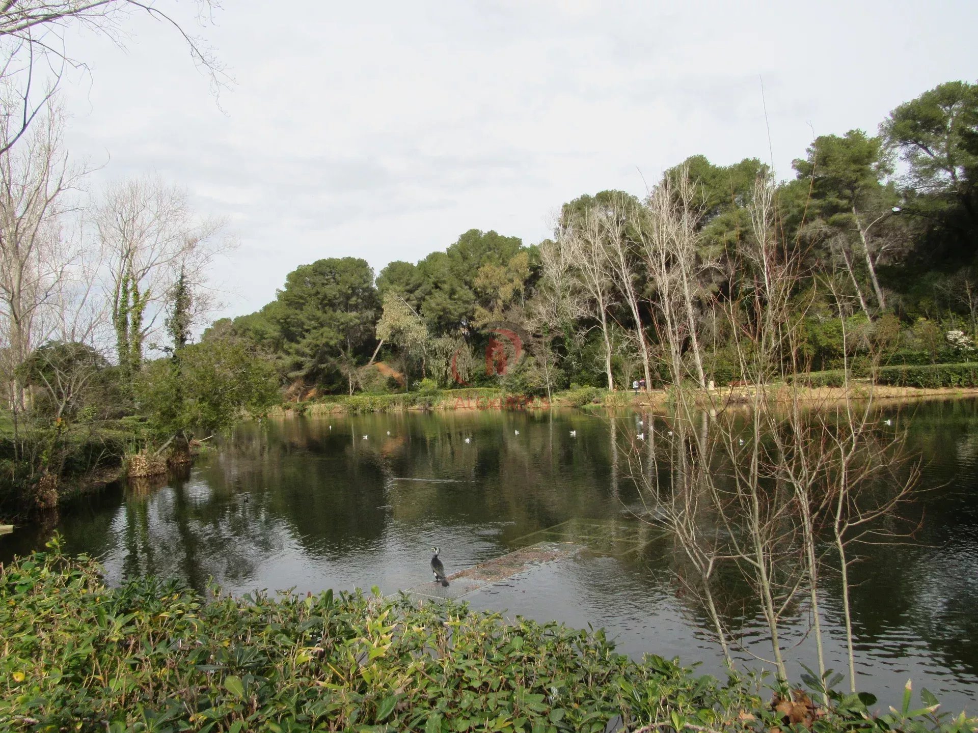 Agence immobilière de 