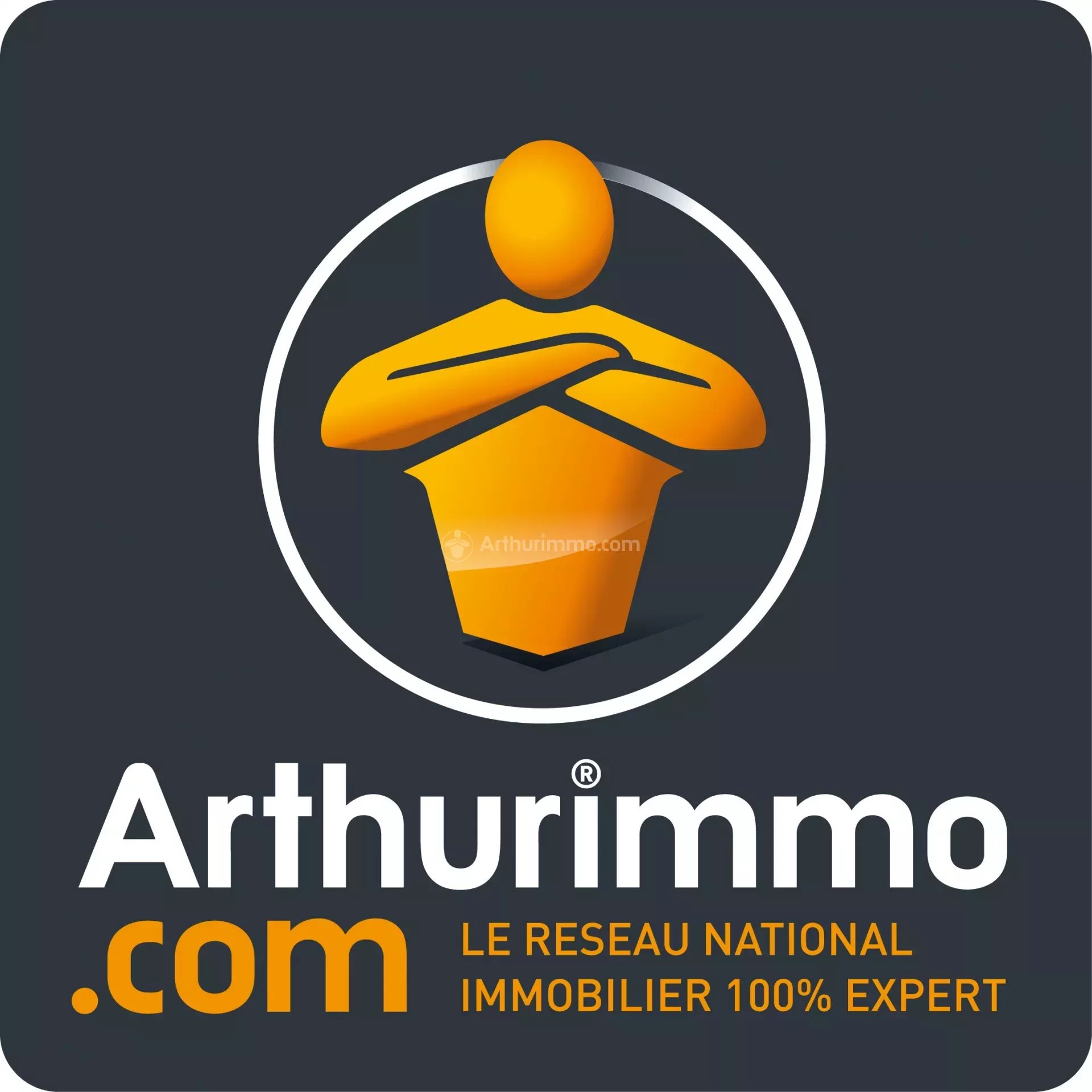 Agence immobilière de arthurimmo.com - Carmaux