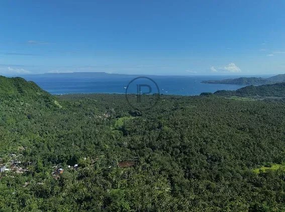 Opportunité d’Investissement de Premier Plan – Terrain en Bail de 62 ares près de Candi Dasa, Est de Bali
