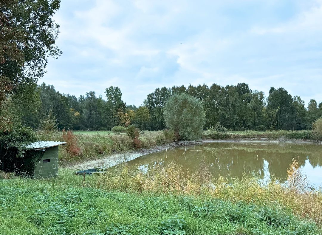 Agence immobilière de Nord Immo