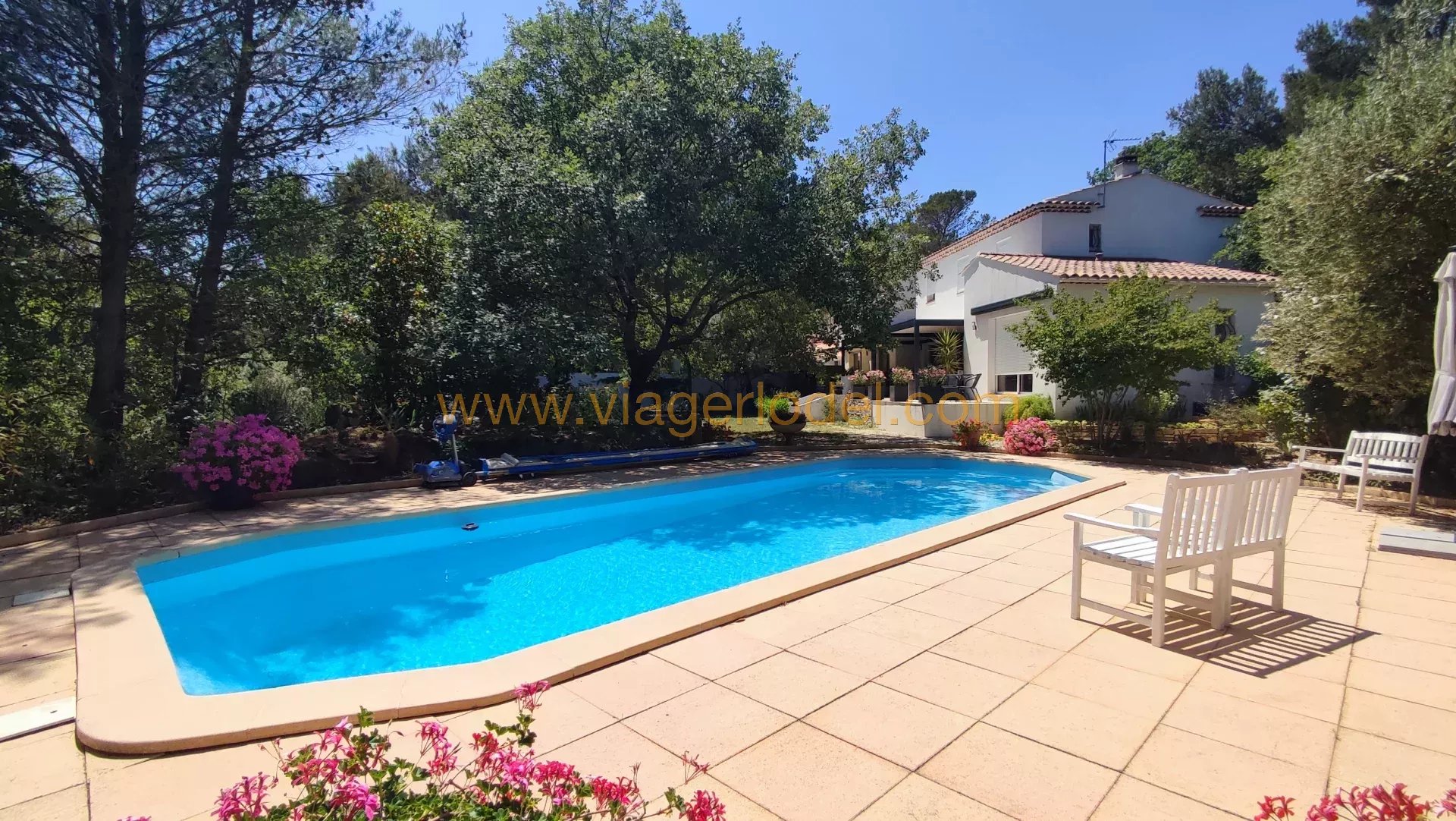 Ref. 9830 - BARE OWNERSHIP - PEYNIER - 2 occupied houses