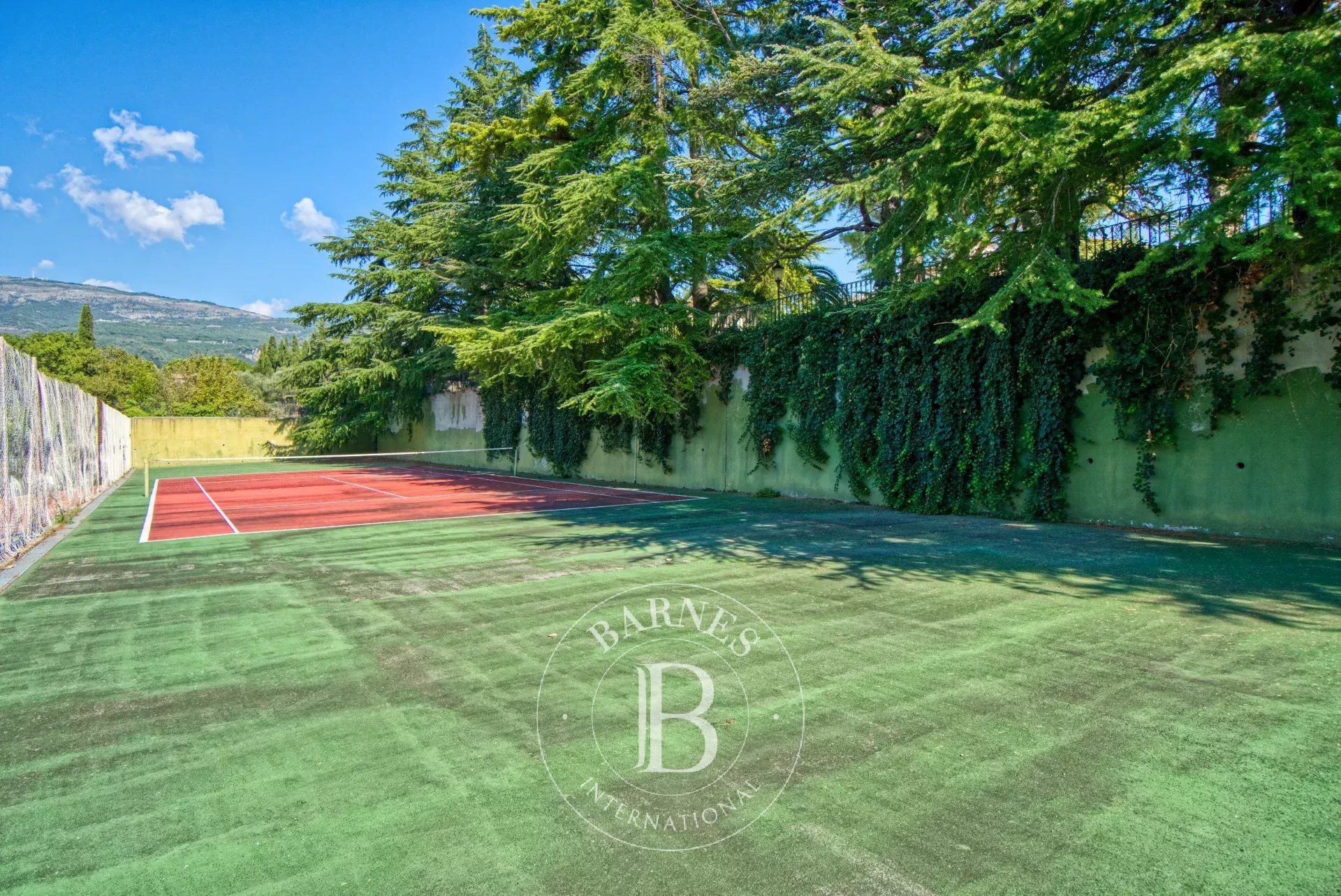 Ev Grasse - picture 23