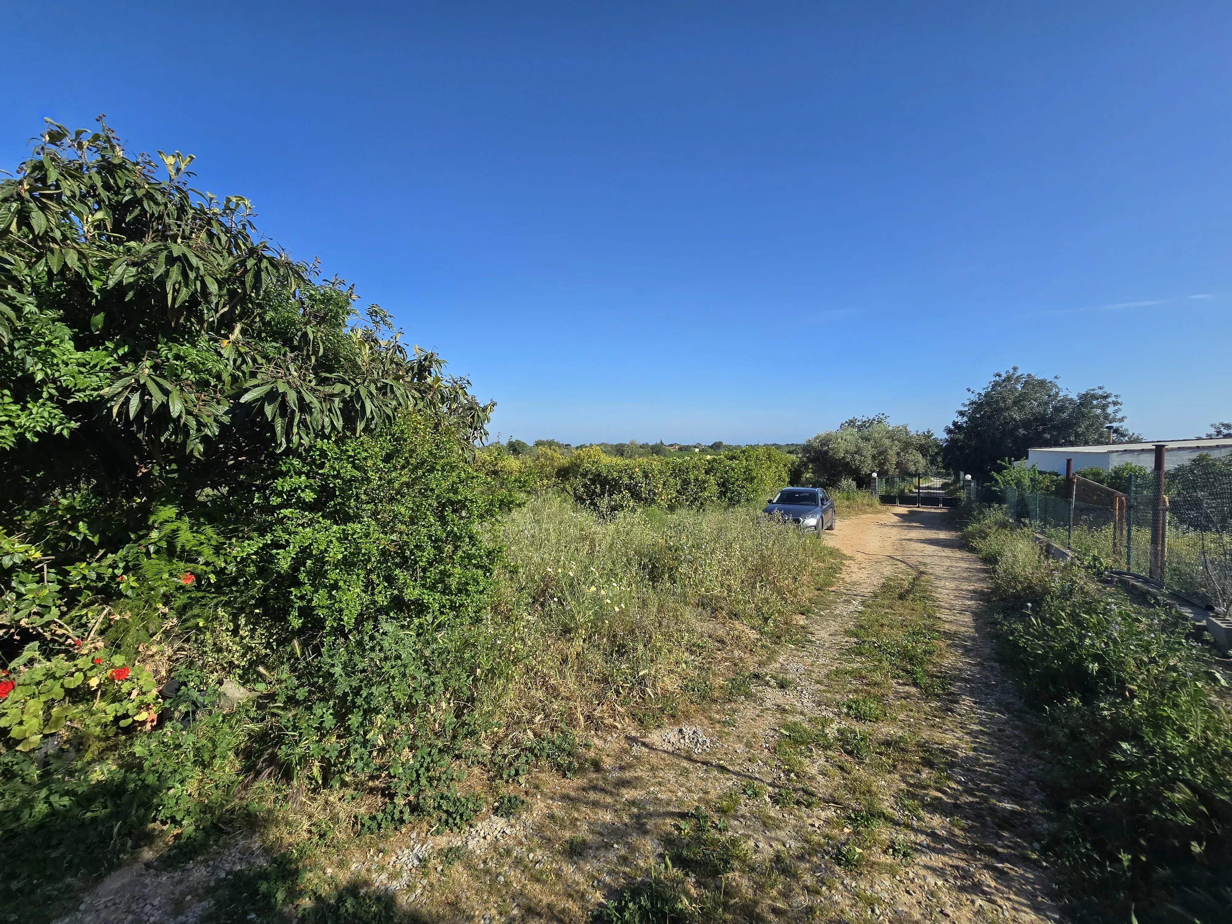 6 room Farmhouse with 1.5 hectares of land and sea view 86949039 image 42