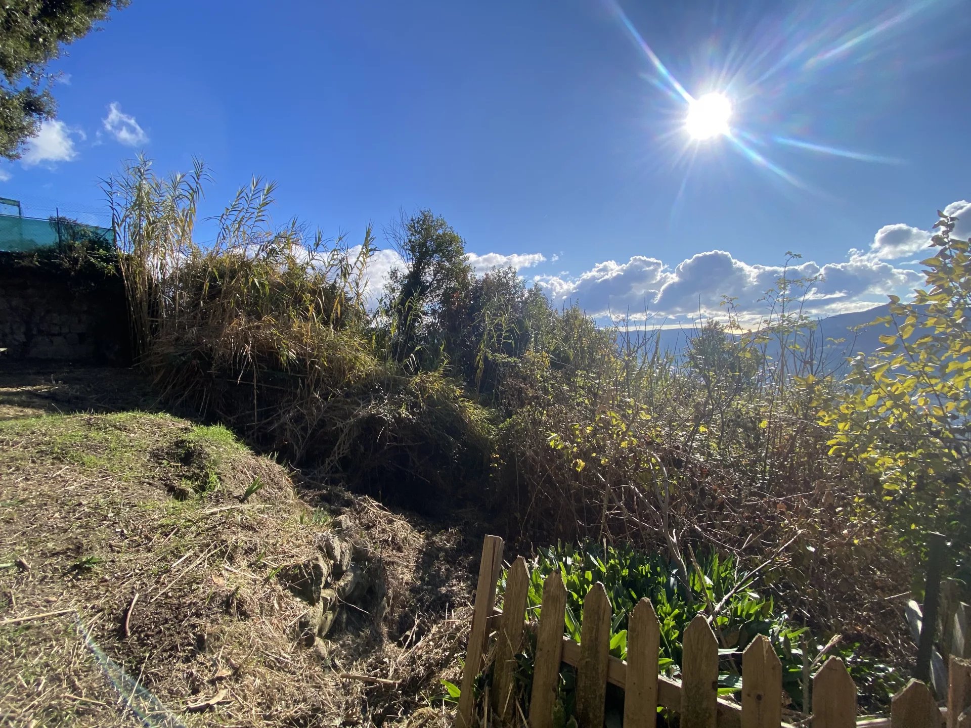 BERRE LES ALPES - Photo 4