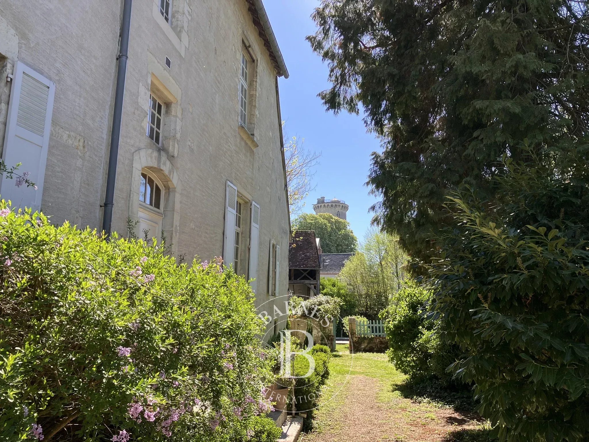 Hôtel particulier Mehun-sur-Yèvre  -  ref 86968476 (picture 2)