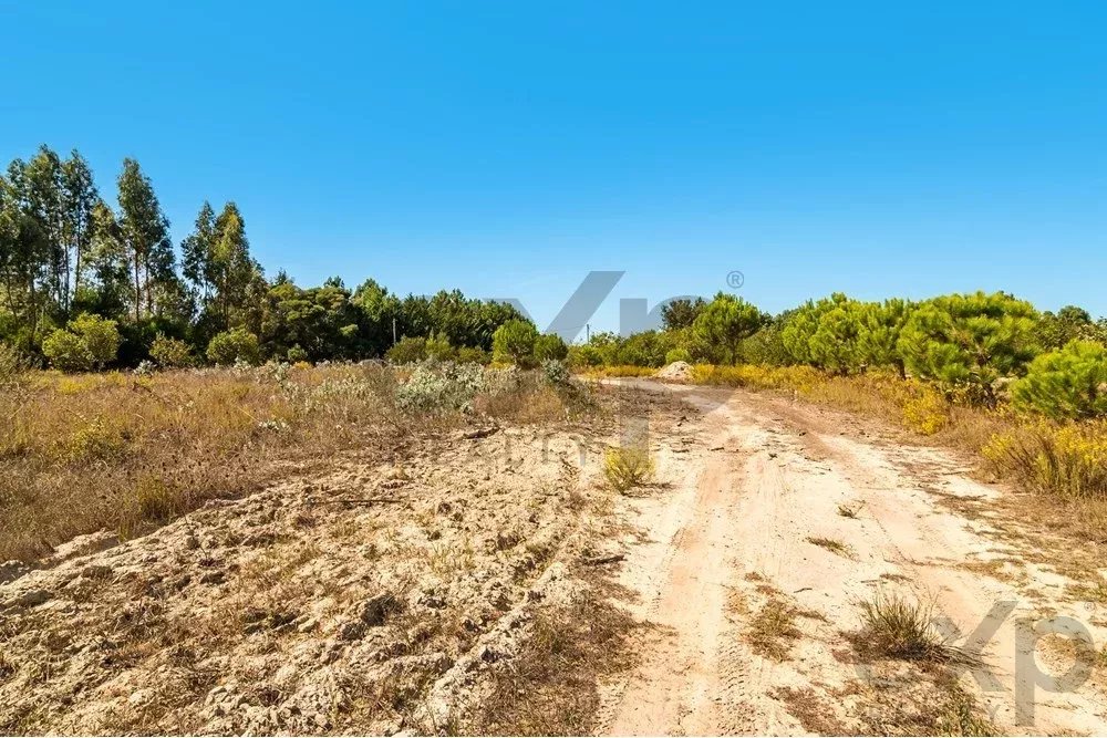 Unmissable Investment in Odemira 85507464 image 6