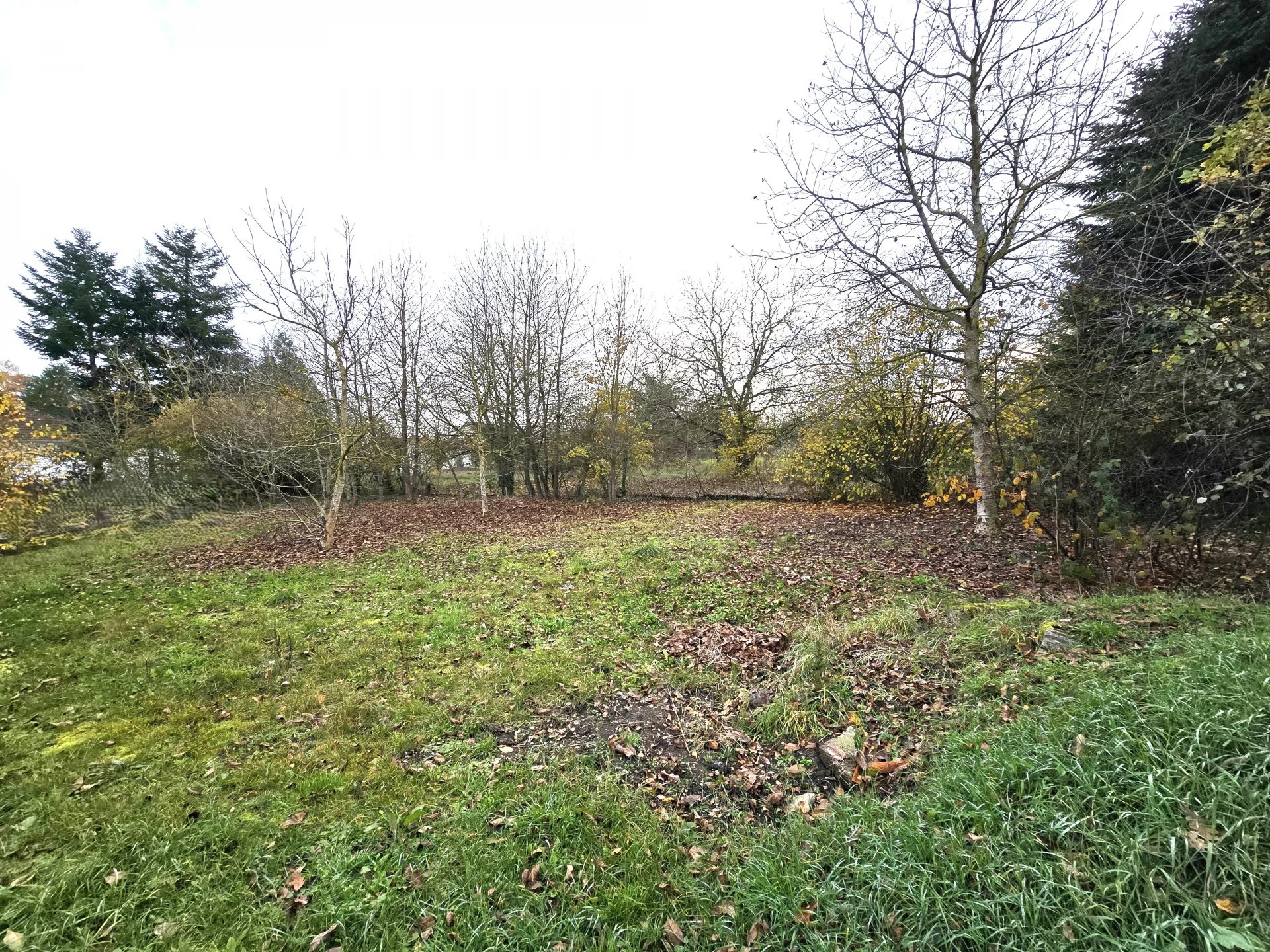 Vente Terrain constructible Dieulouard