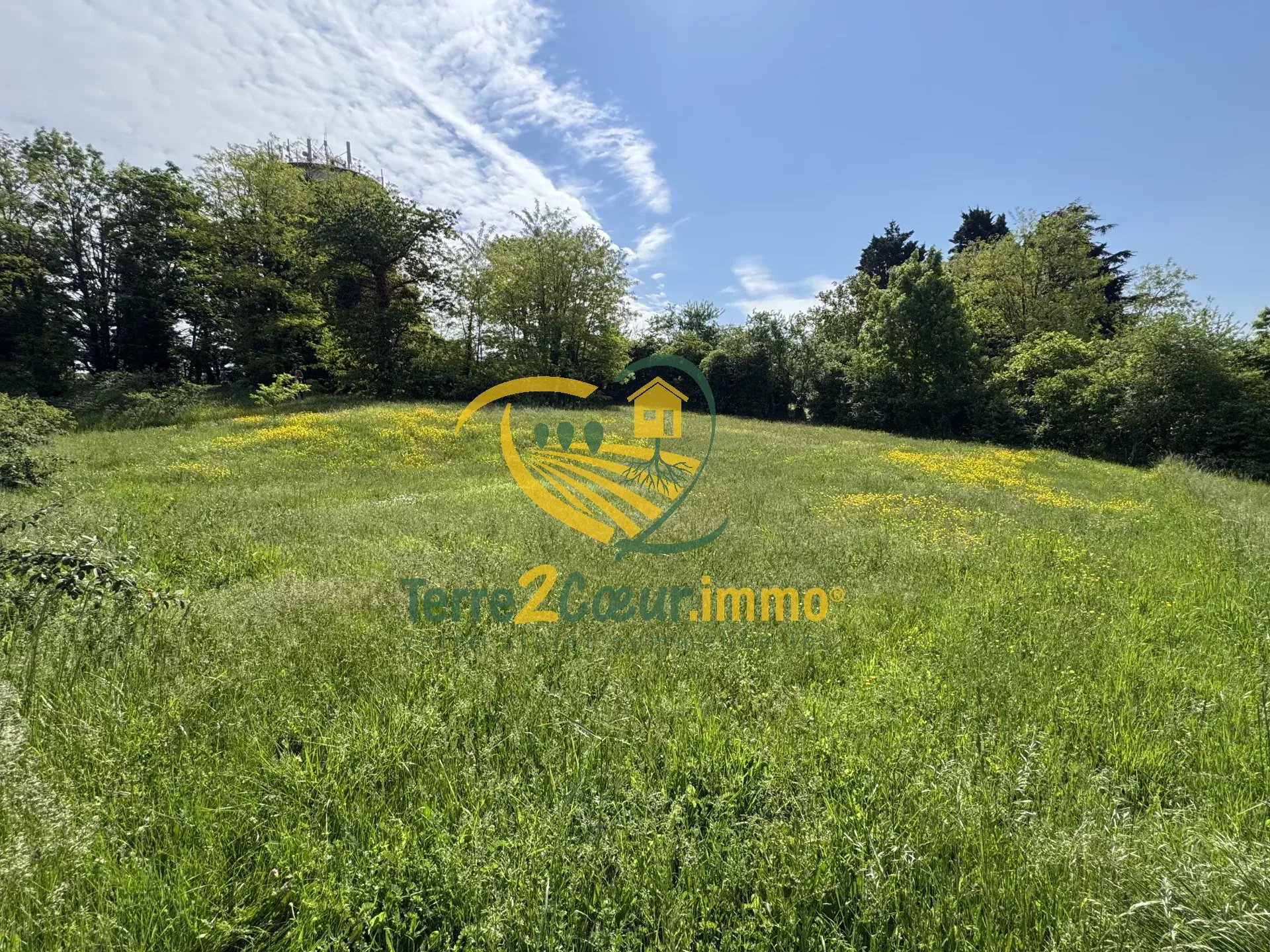 Terrain 2096 m² SAINT-FLORENT-SUR-CHER (18400)