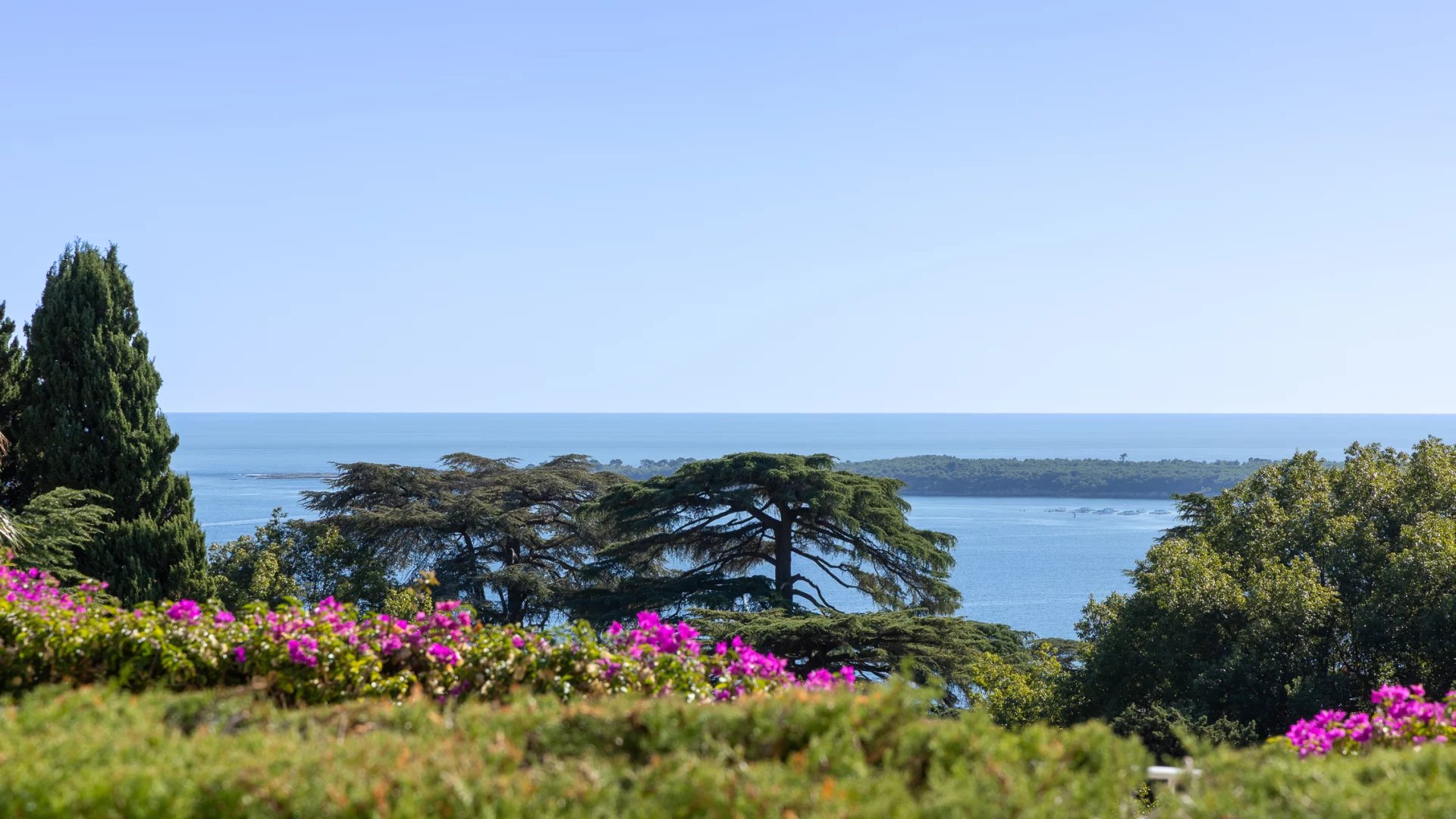 Sale Apartment Cannes Californie