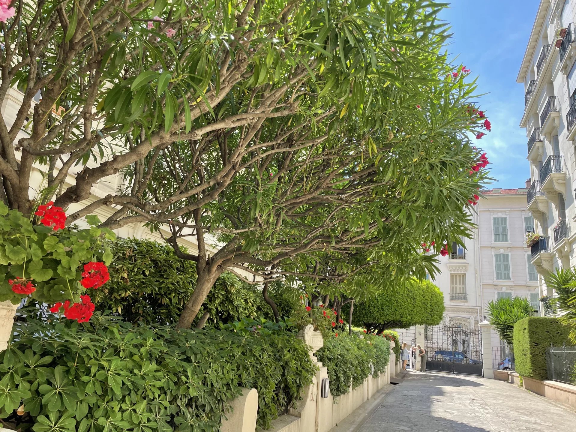 4/5 pièces - Bourgeois - QUARTIER DES MUCIENS