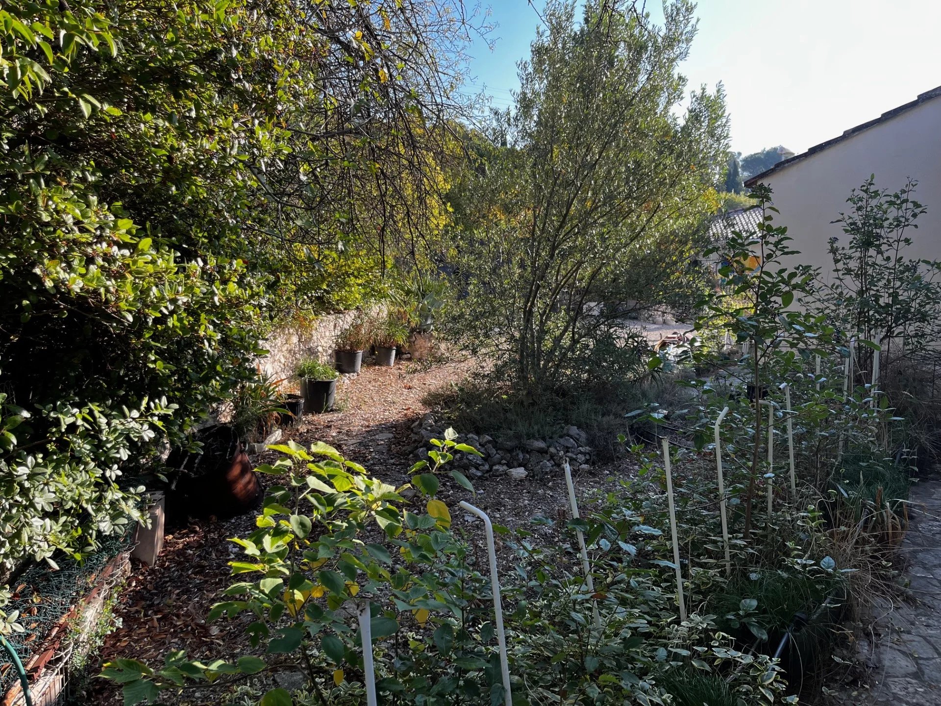 Rare à la vente, Maison de ville 92m2 env de plain pied sur un terrain de 436m2 env.