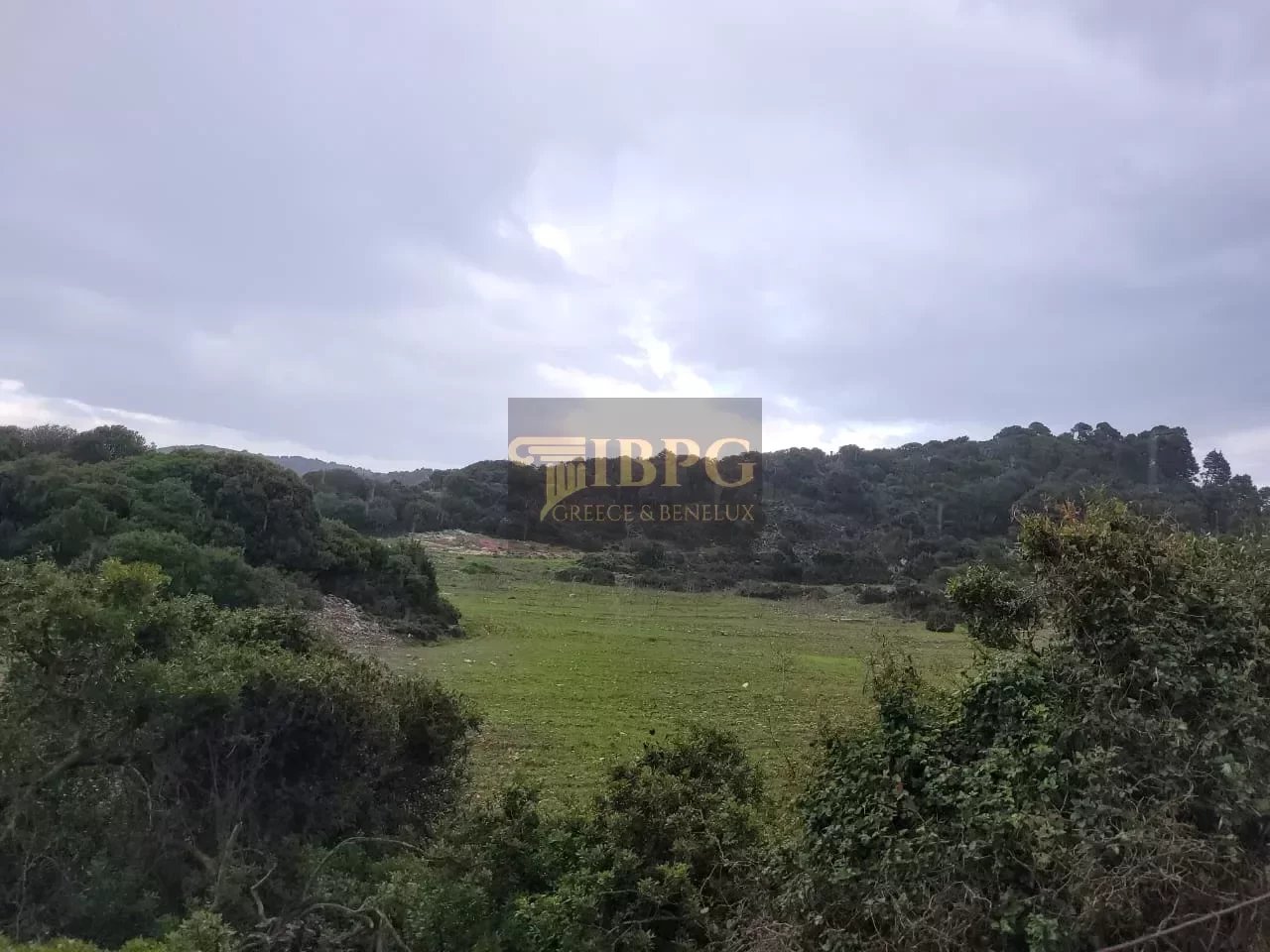 for sale Land in Skiros Central Greece 103745m2 ,150000€