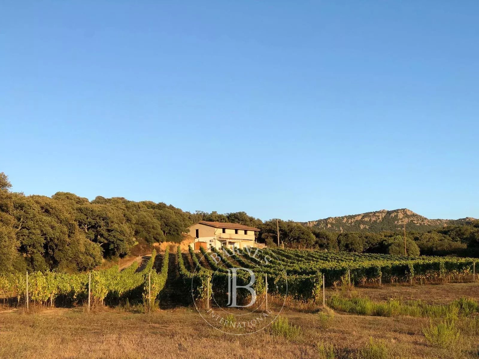 Villa Monti  -  ref 87076242 (picture 1)