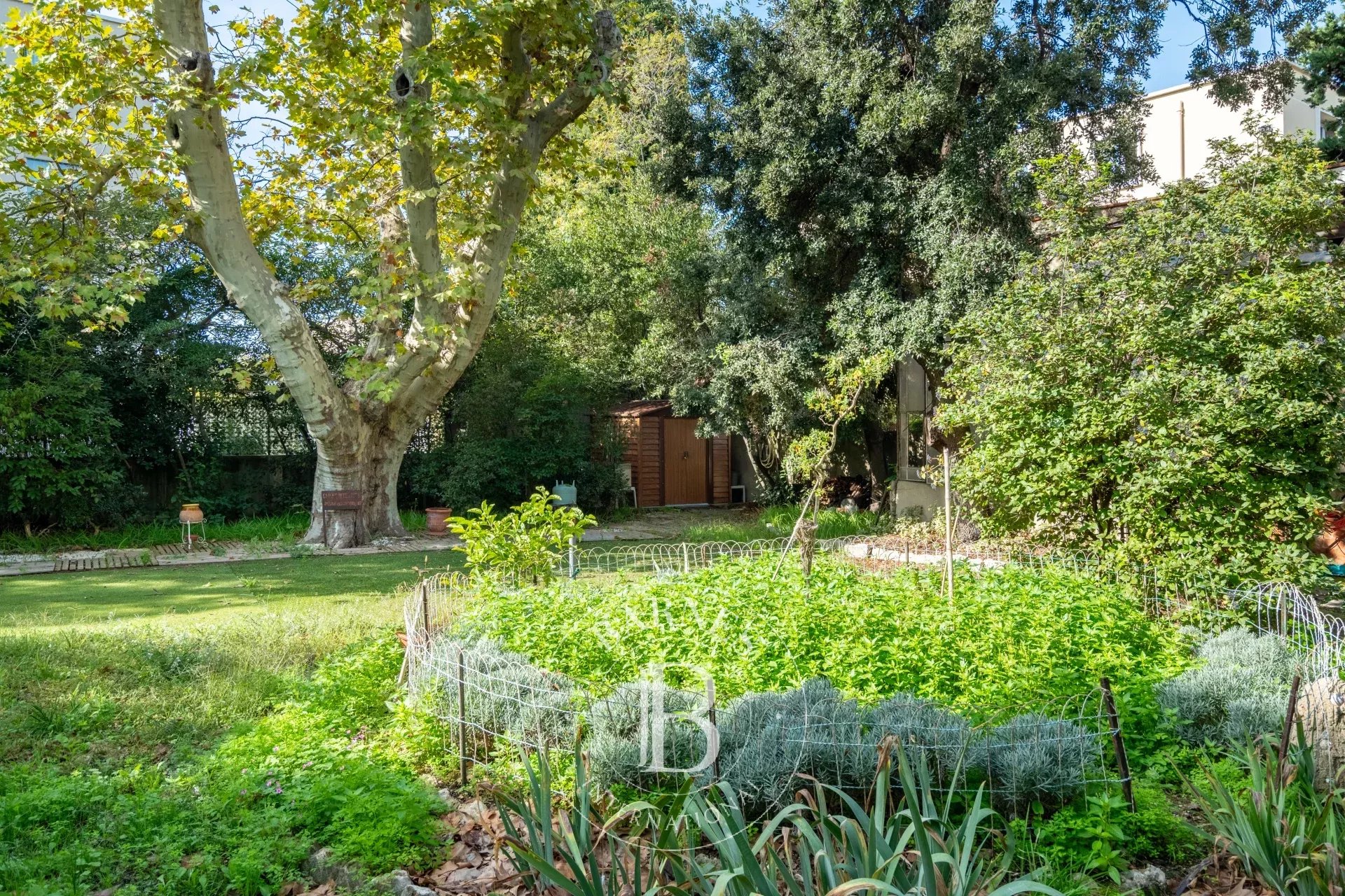 Daire Marseille 8ème