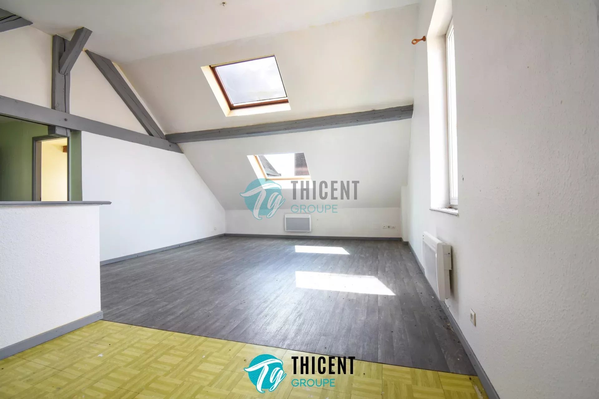 Agence immobilière de THICENT GROUPE