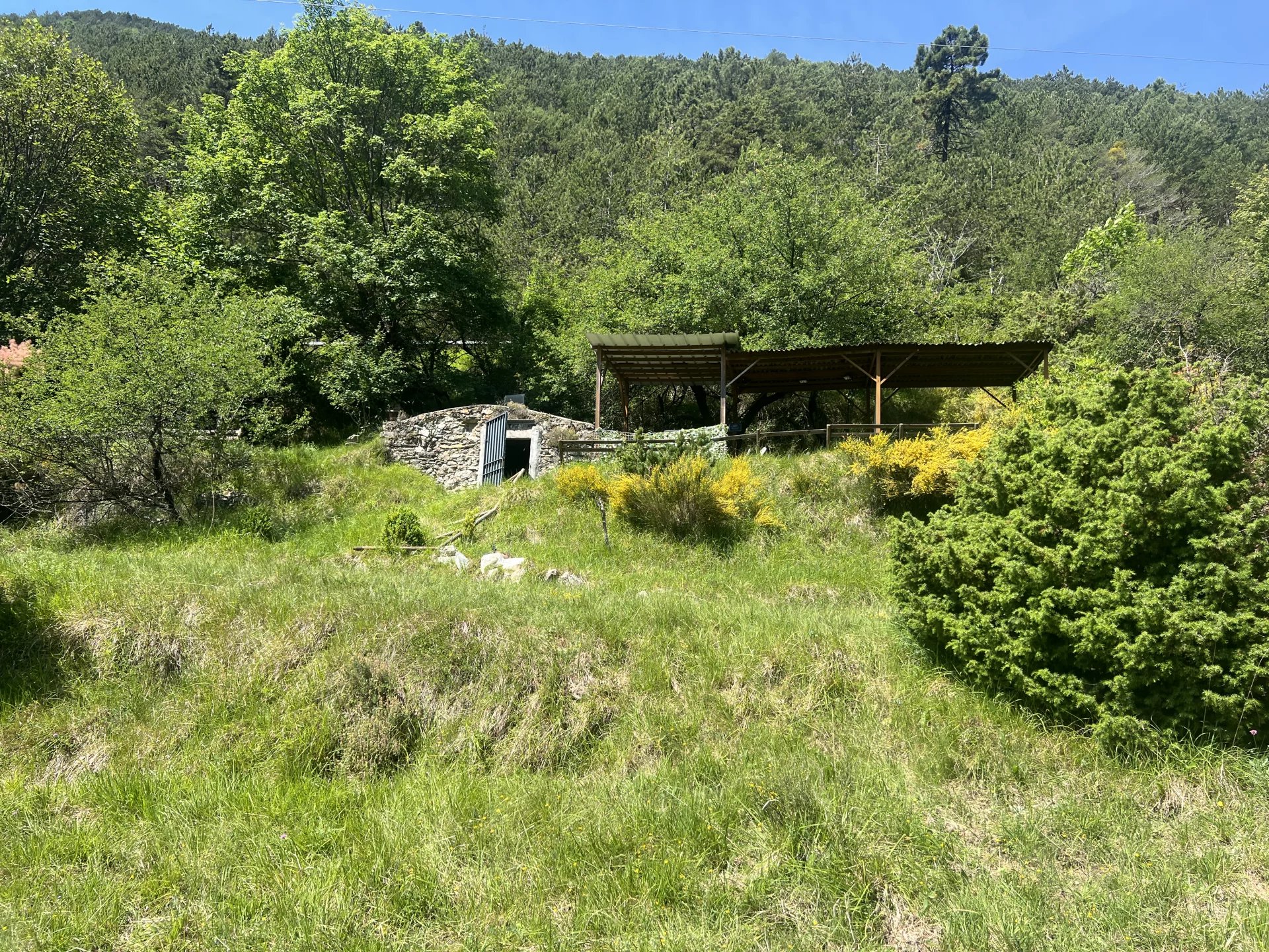 Agence immobilière de AGENCE ImmoCenter