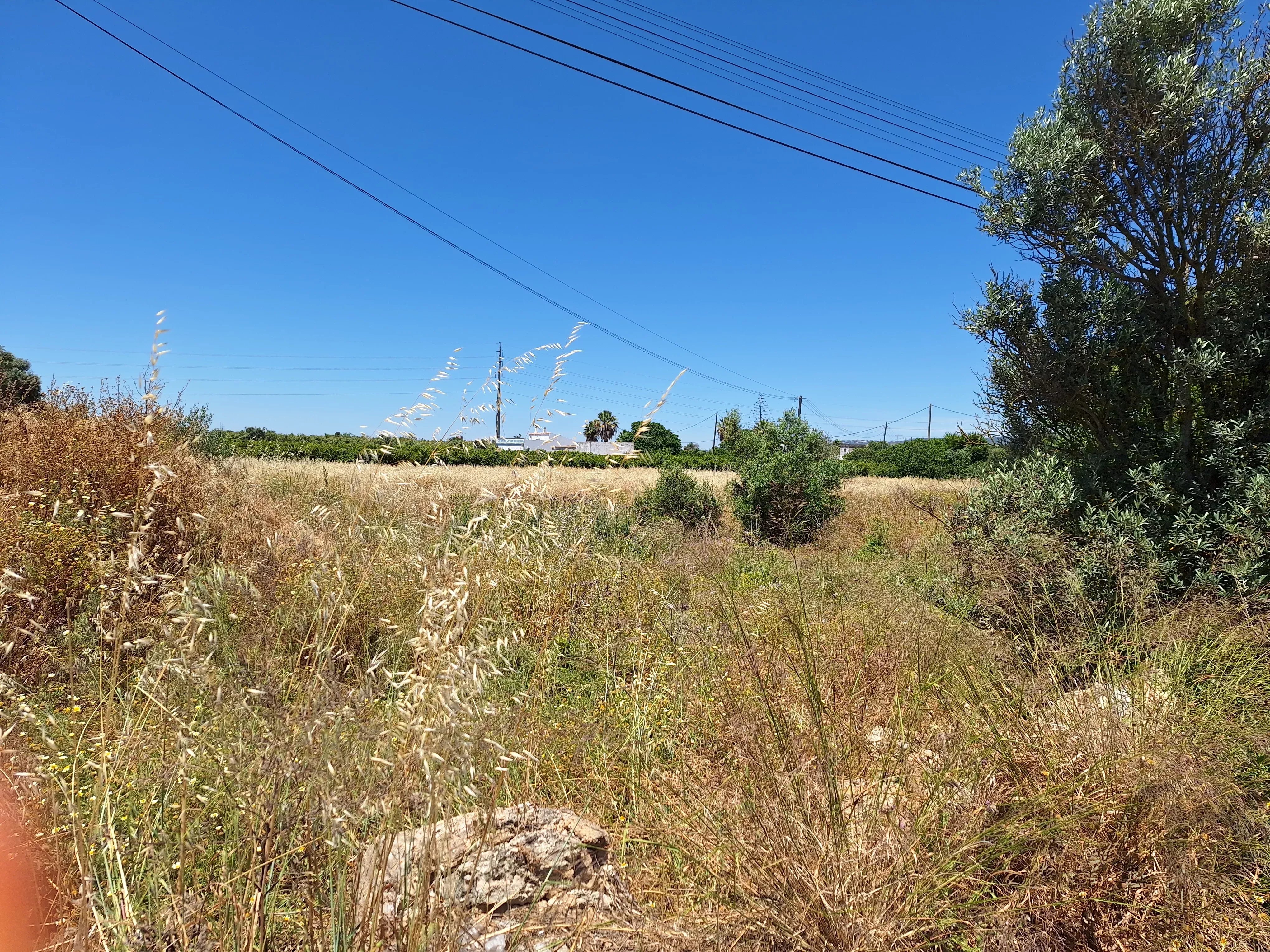 Rustic Land in Mar e Guerra 87032942 image 9