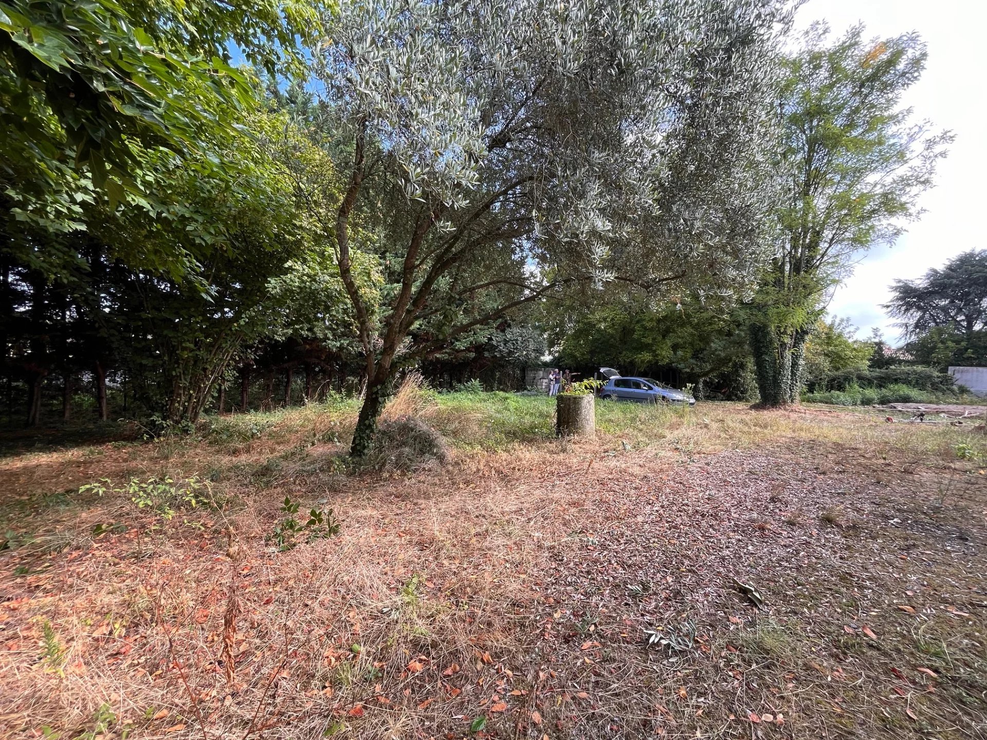 Vente Terrain constructible Villenave-d'Ornon