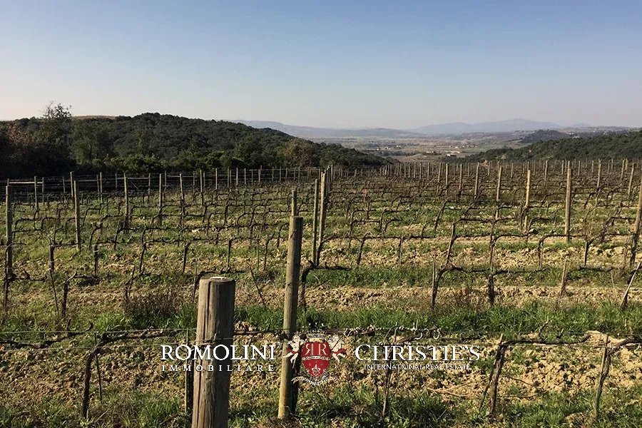 8 Bedroom Vineyard's Image 28
