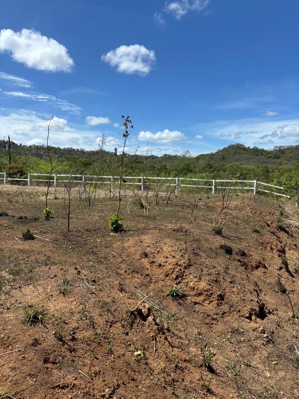 Sale Residential land Tamarindo