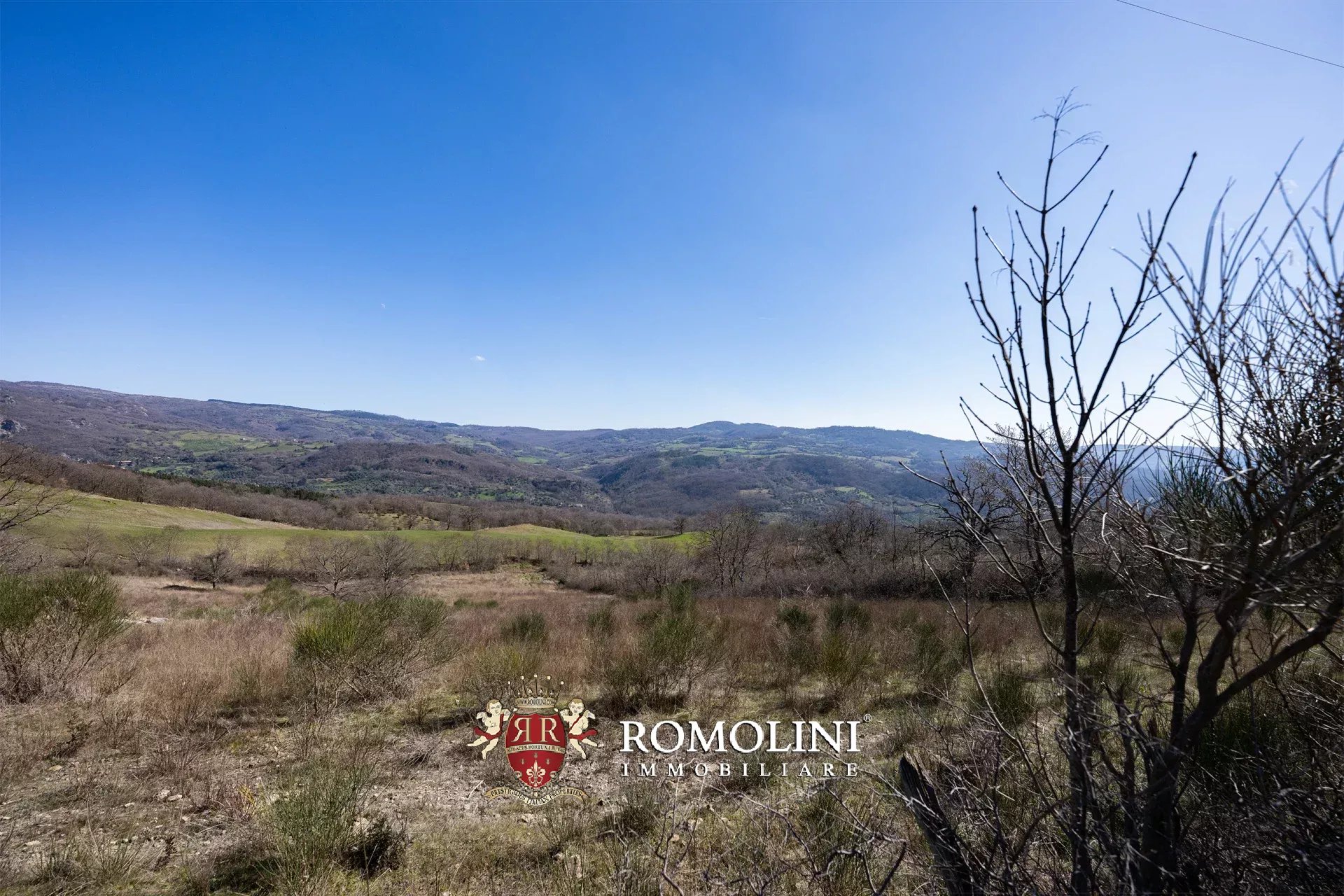1 Bedroom Vineyard's Image 19
