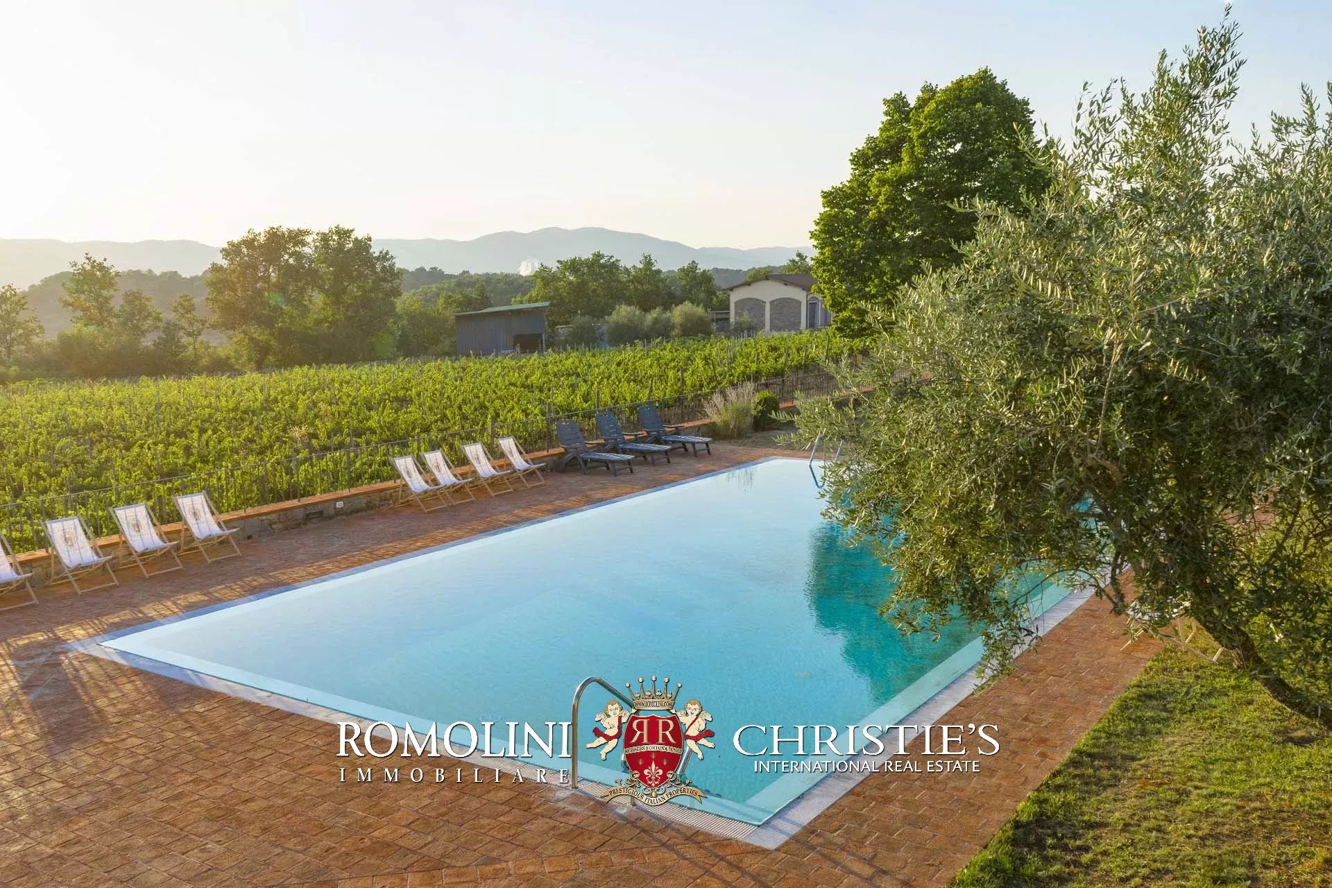 4 Bedroom Vineyard's Image 13