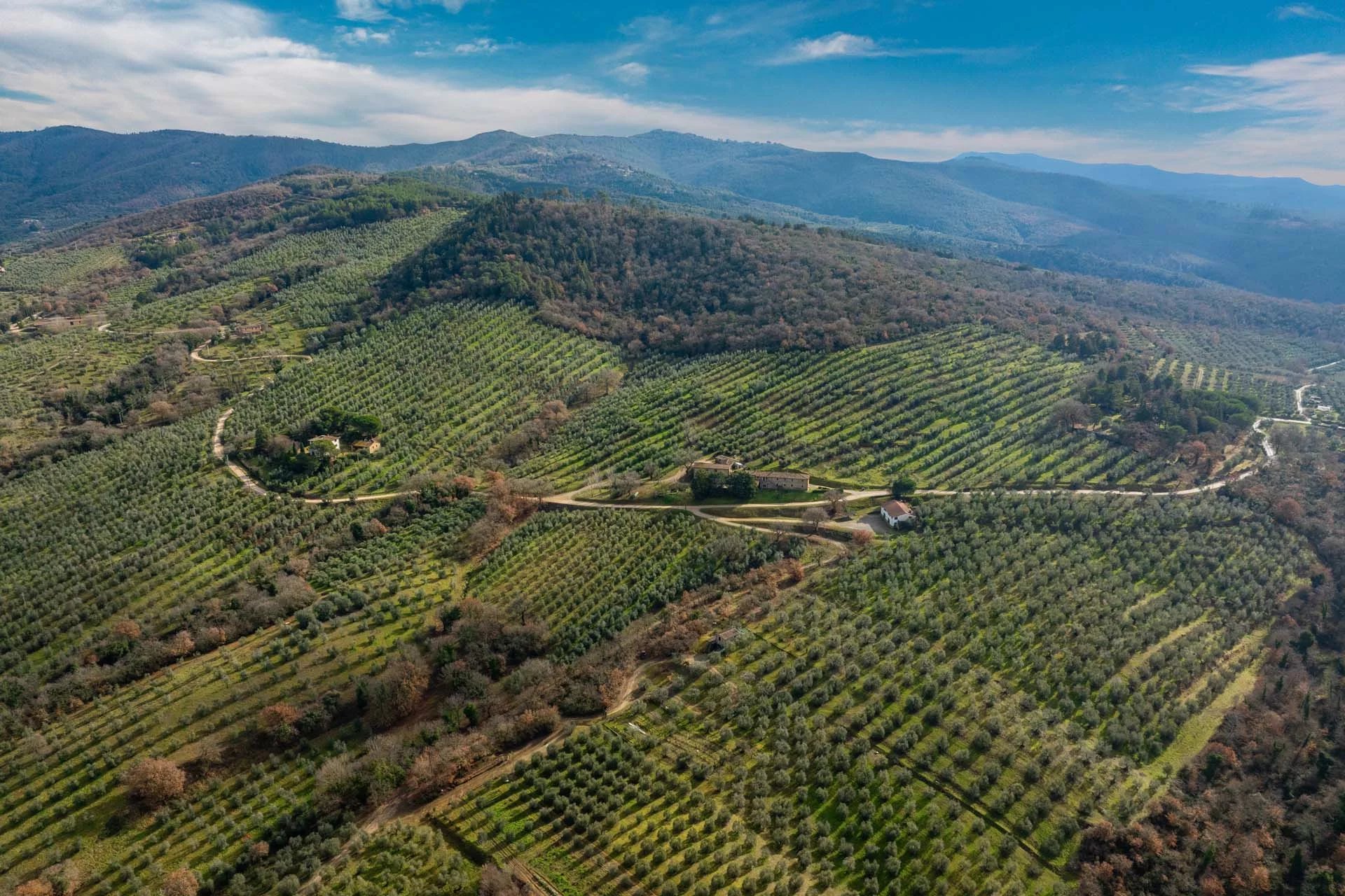 ESTATE WITH MANORIAL VILLA AND ORGANIC OLIVE GROVE FOR SALE IN UMBRIA, TRASIMENO