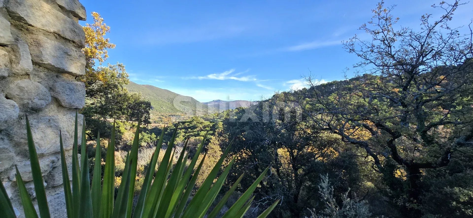 Agence immobilière de THIERRY VEYRADIER AGENCE IMMOBILIER