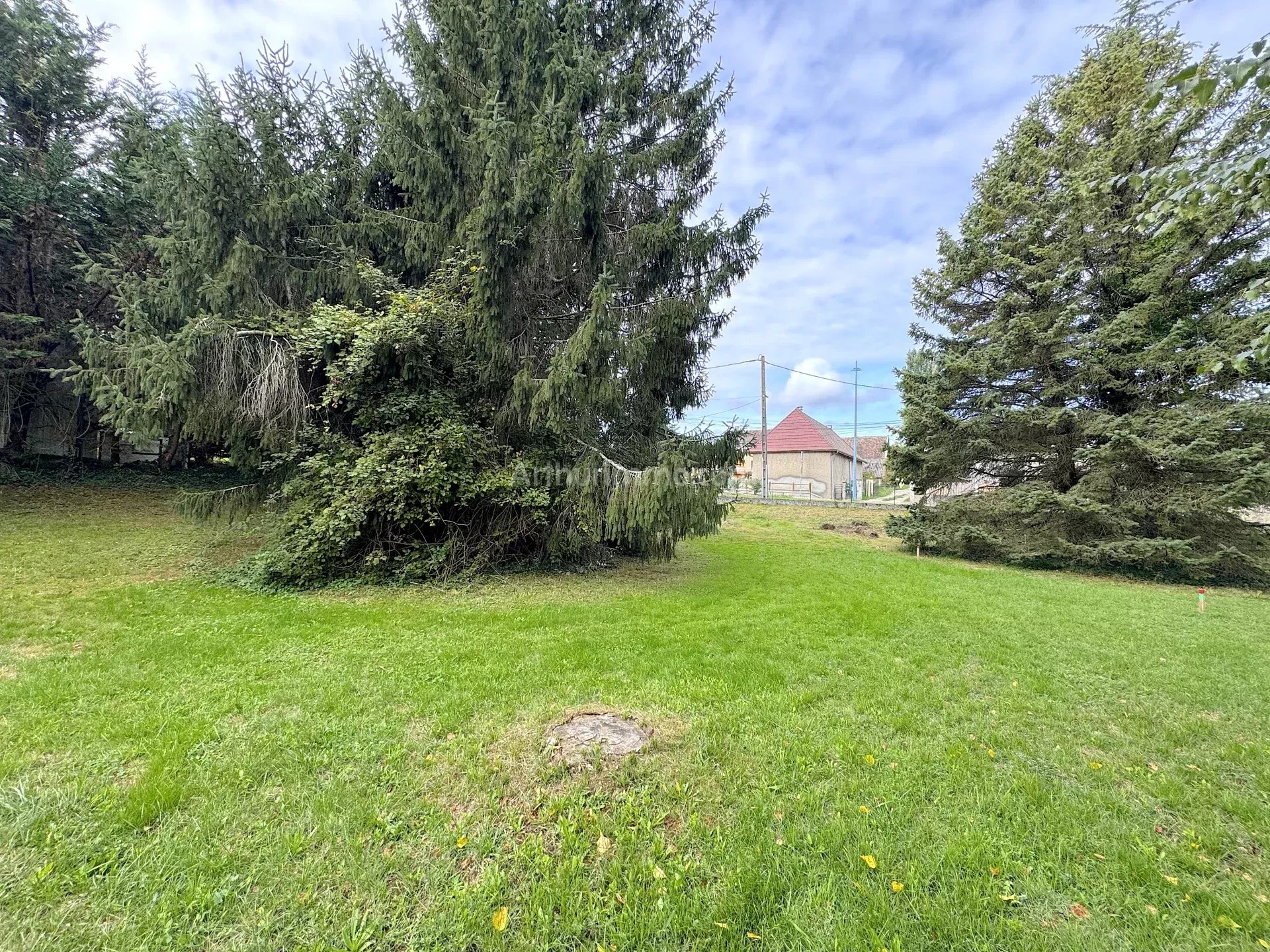 Agence immobilière de SARL AS IMMOBILIER