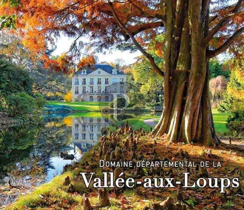 vente-appartement-3-pieces-chatenay-malabry-85558824