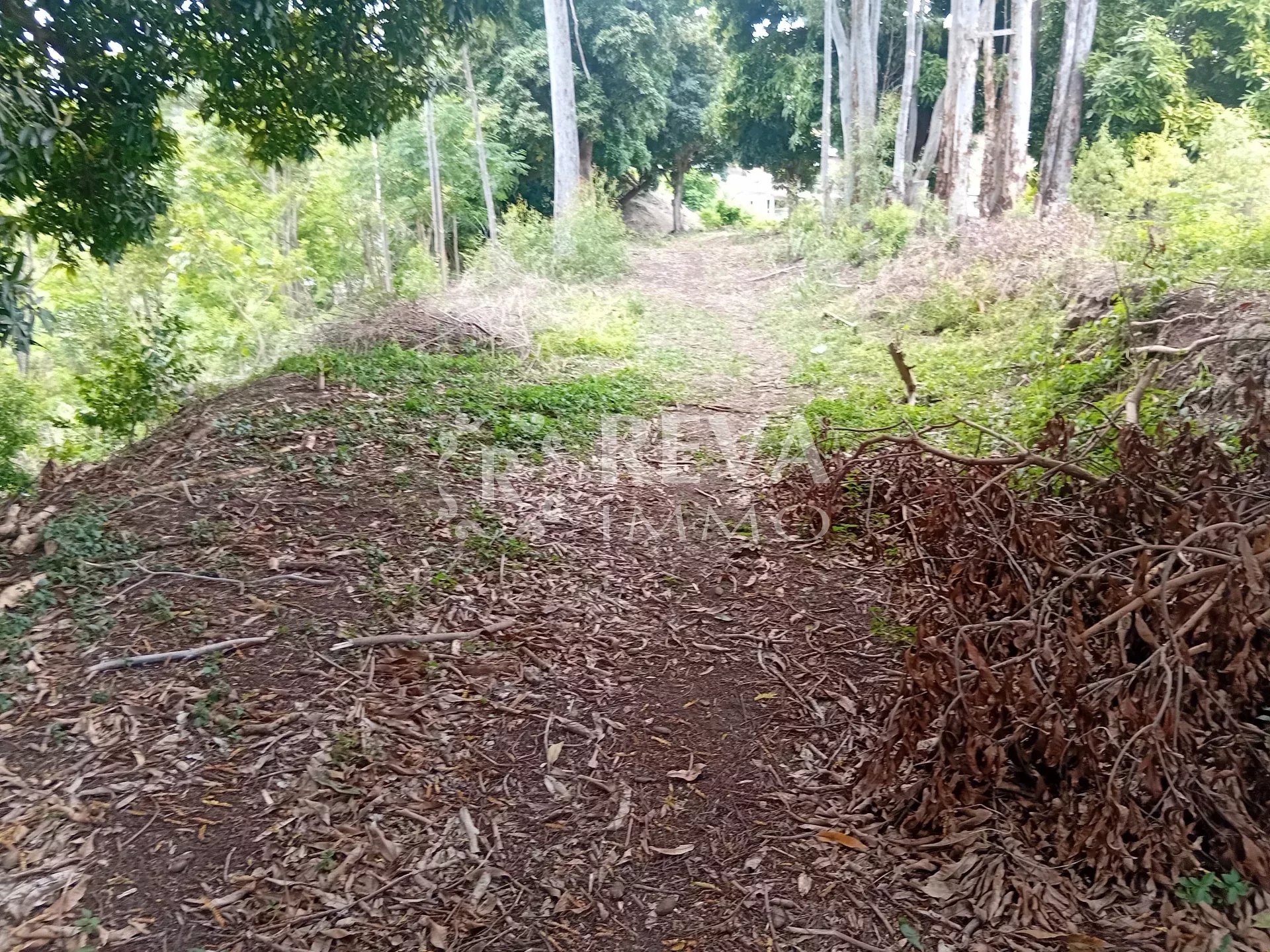 Vente Terrain Punaauia