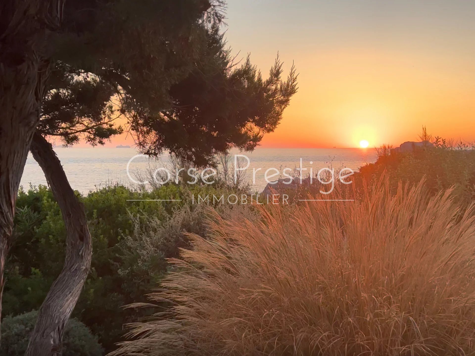 sublime natural environment - by the sea - bay of ajaccio image1