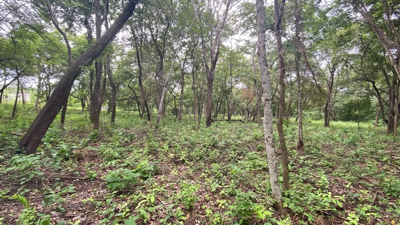 Sale Building land Cartagena