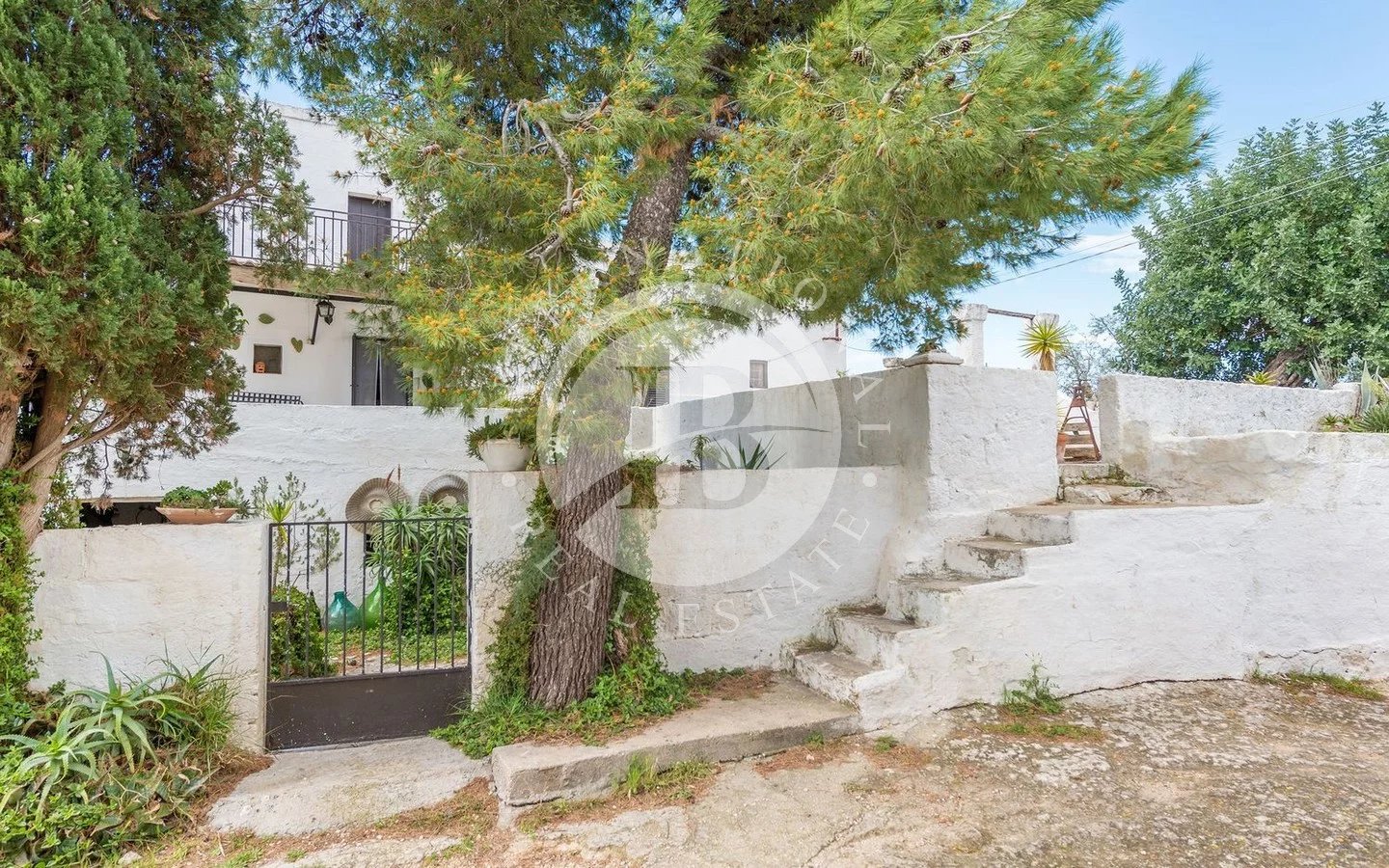 Villa in Fasano - view 1