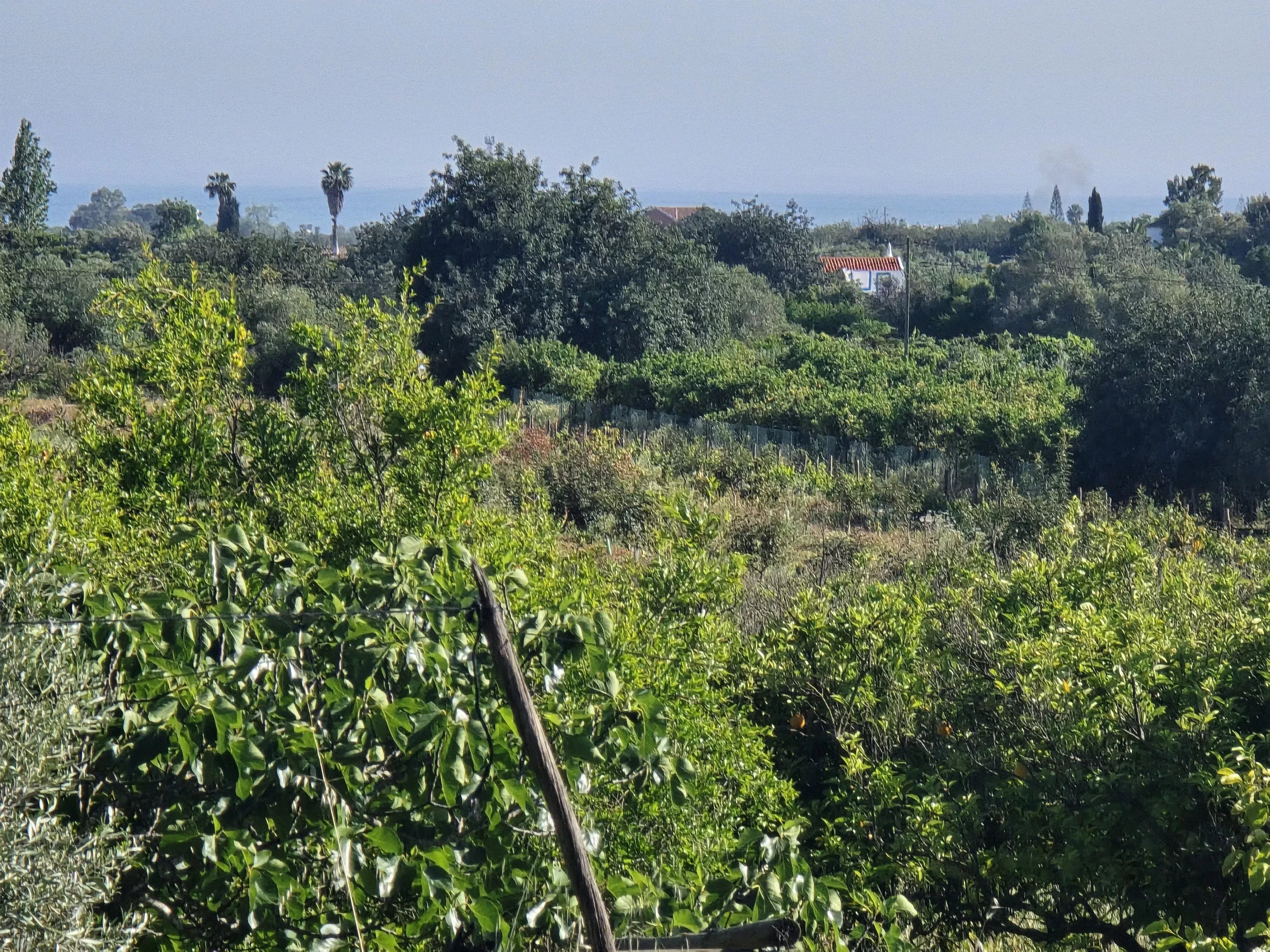 6 room Farmhouse with 1.5 hectares of land and sea view 86949039 image 10