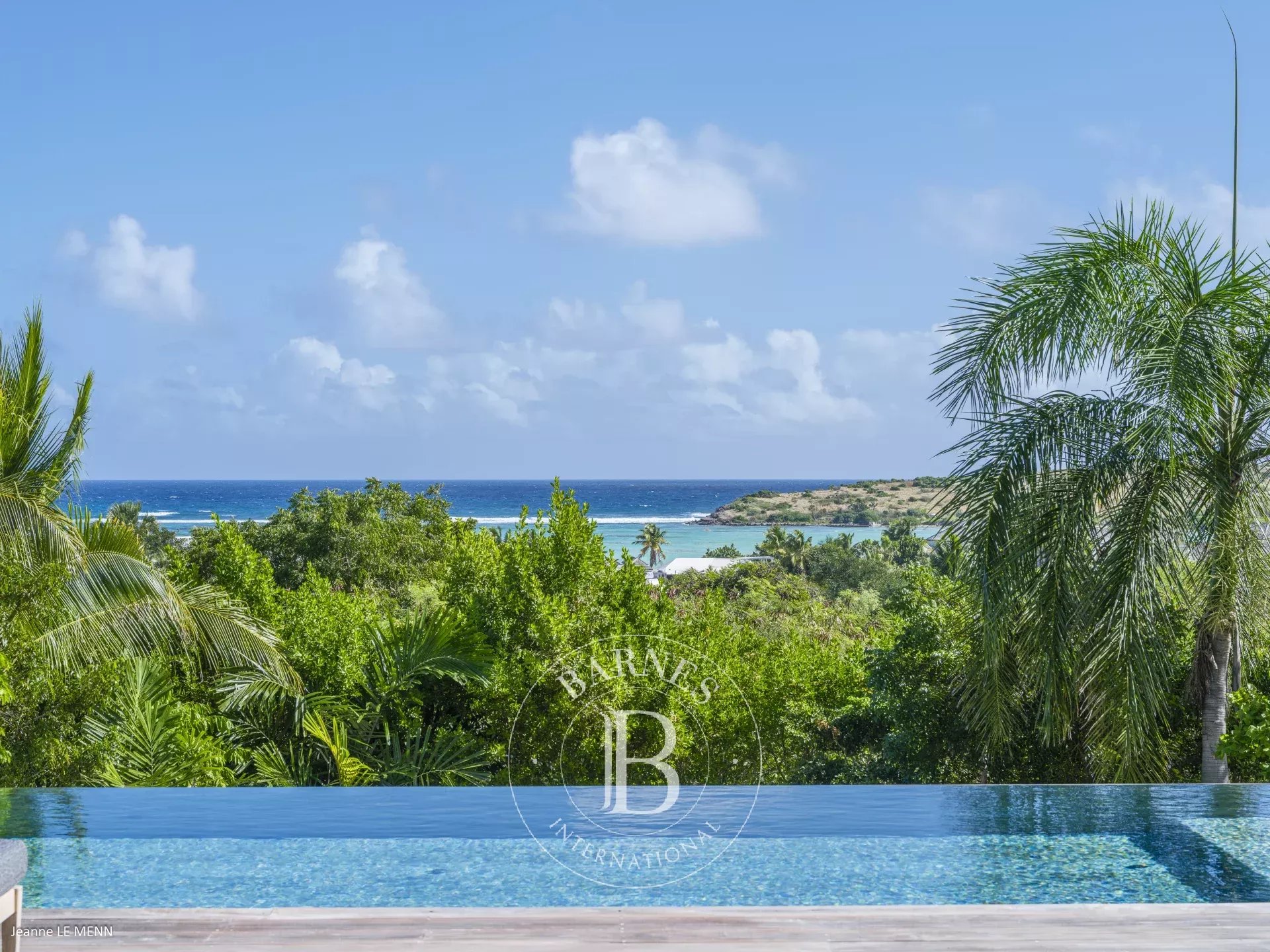 Villa Saint-Barthélemy  -  ref 87158447 (picture 3)