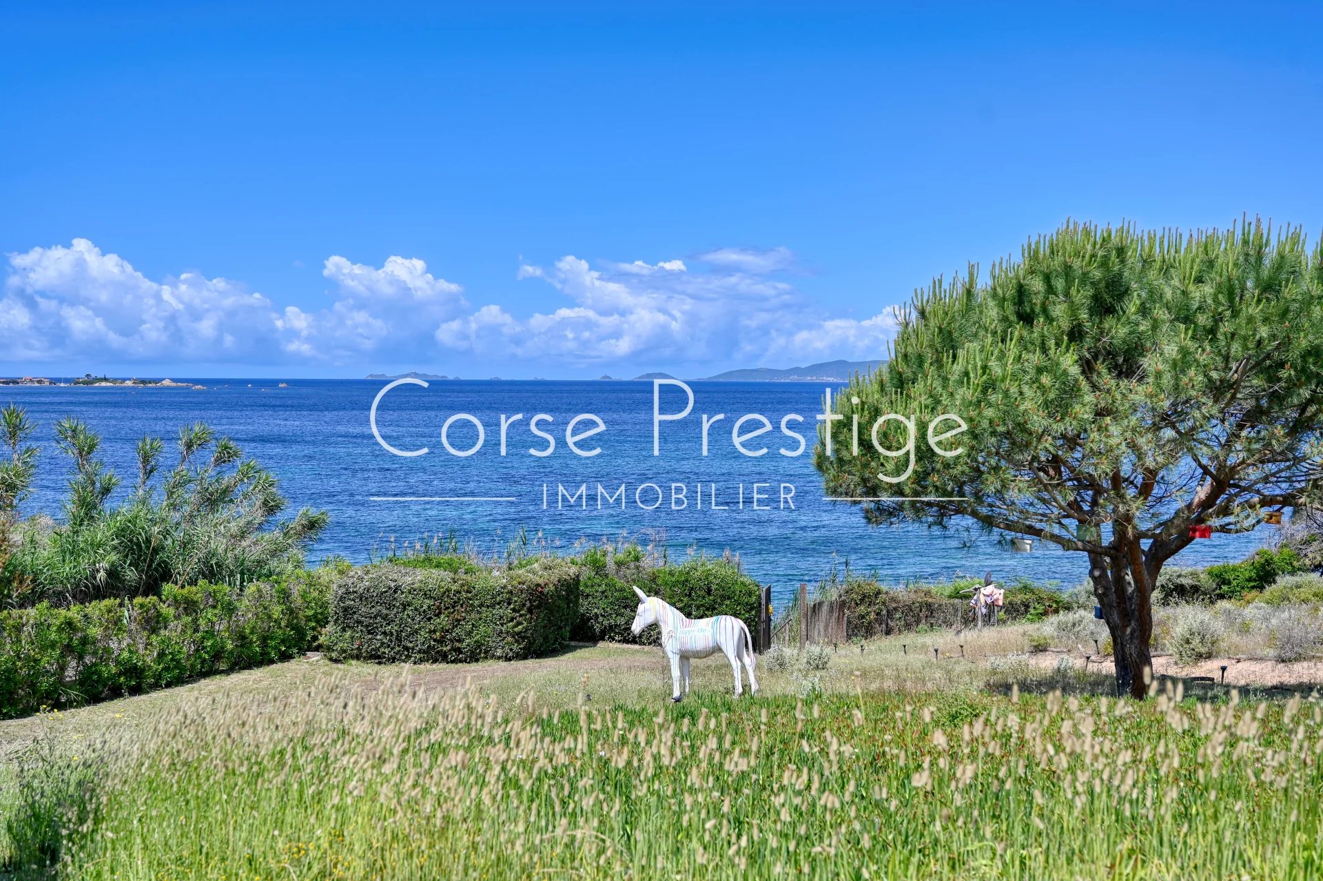 luxury villa for rent with swimming pool – porticcio image16