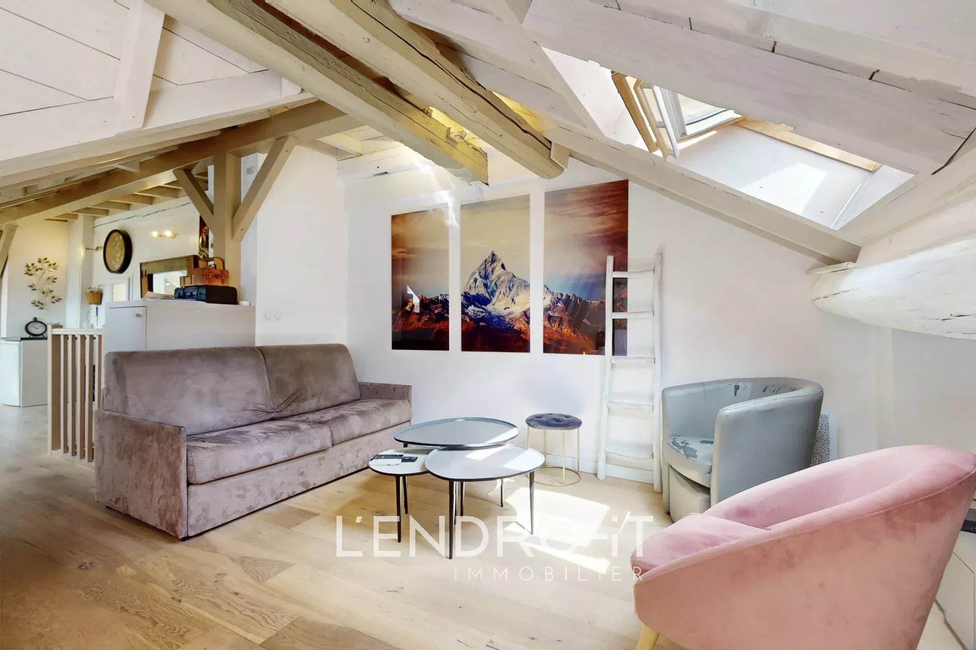 ANNECY - vieille ville - Appartement type loft au dernier étage