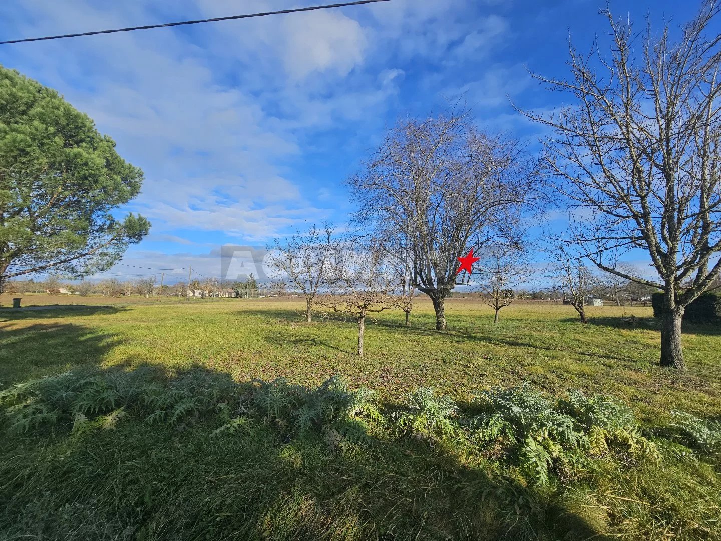 Vente Terrain Gaillac